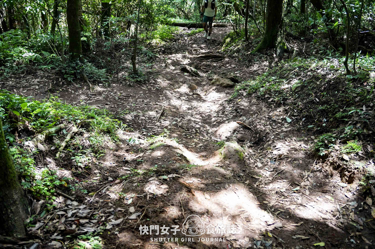 【台北大縱走第二段】挑戰拉繩攀爬大屯山連峰步道 x 欣賞竹子湖繡球花海
