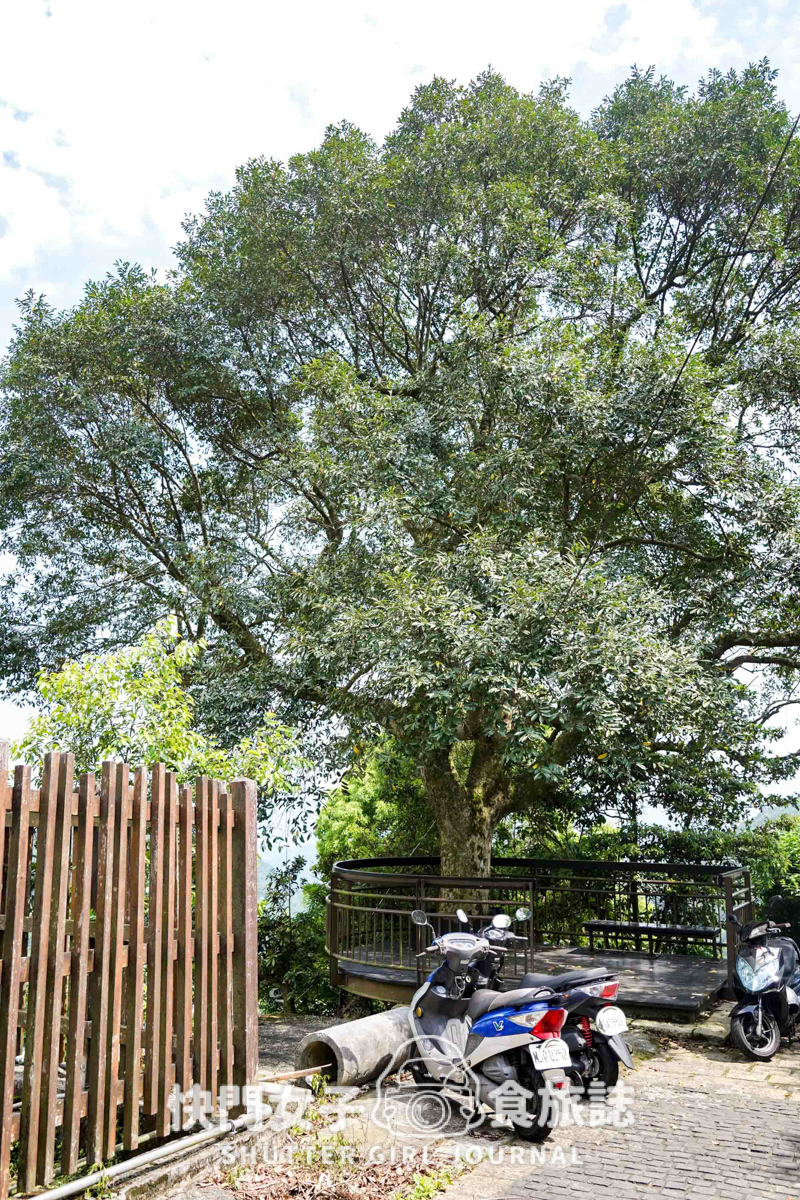 【台北大縱走第四段】圓覺寺瀑布 x 大溝溪生態治水公園 x 體感最無聊的一段