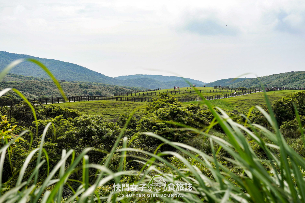 【台北大縱走第三段】台北最高峰七星山 x 橫跨擎天崗大草原 x 地形多變風景優美 - 第39張圖 【台北大縱走第三段】台北最高峰七星山 x 橫跨擎天崗大草原 x 地形多變風景優美