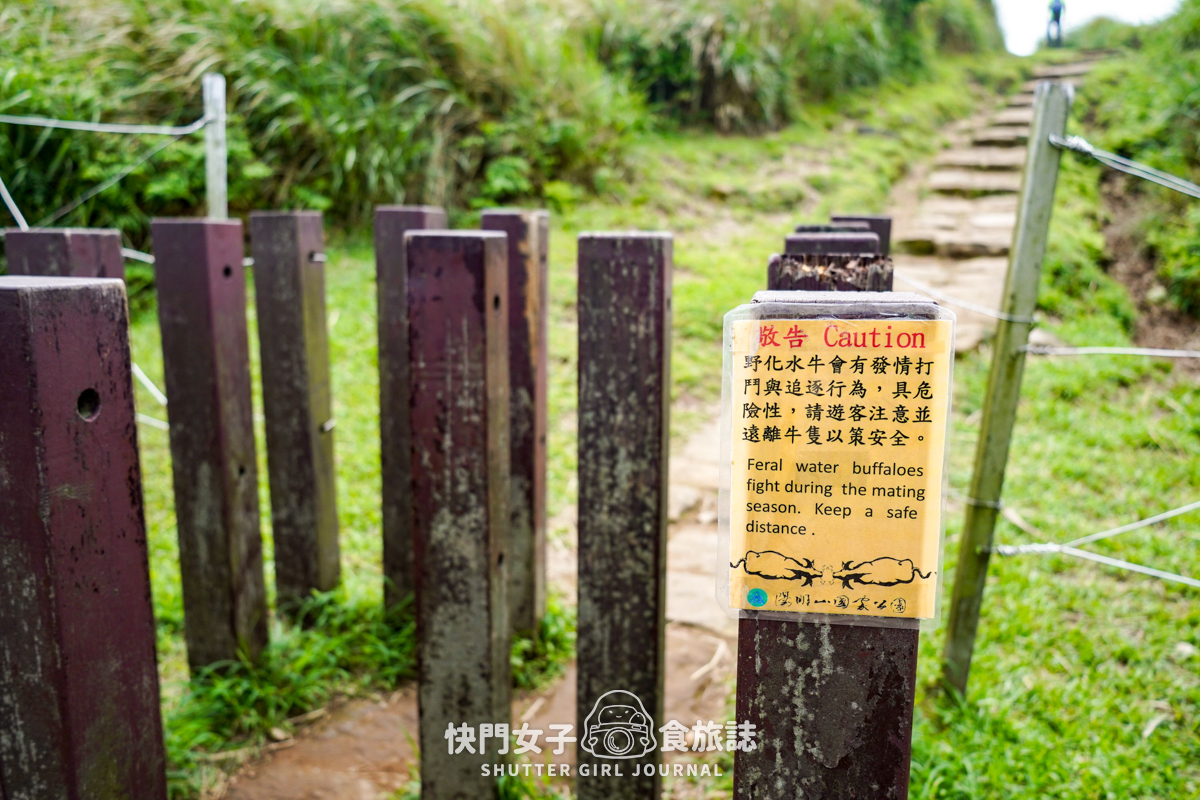 【台北大縱走第三段】台北最高峰七星山 x 橫跨擎天崗大草原 x 地形多變風景優美 - 第43張圖 【台北大縱走第三段】台北最高峰七星山 x 橫跨擎天崗大草原 x 地形多變風景優美