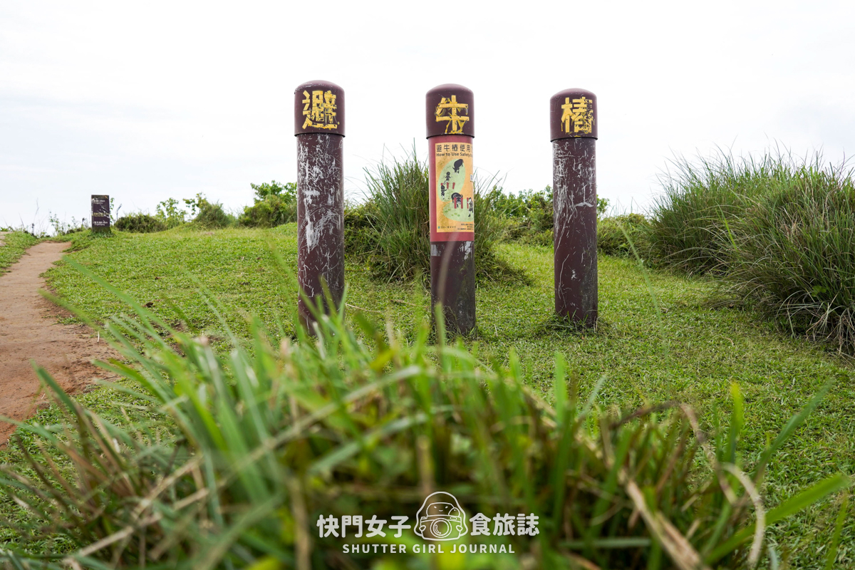 【台北大縱走第三段】台北最高峰七星山 x 橫跨擎天崗大草原 x 地形多變風景優美 - 第48張圖 【台北大縱走第三段】台北最高峰七星山 x 橫跨擎天崗大草原 x 地形多變風景優美