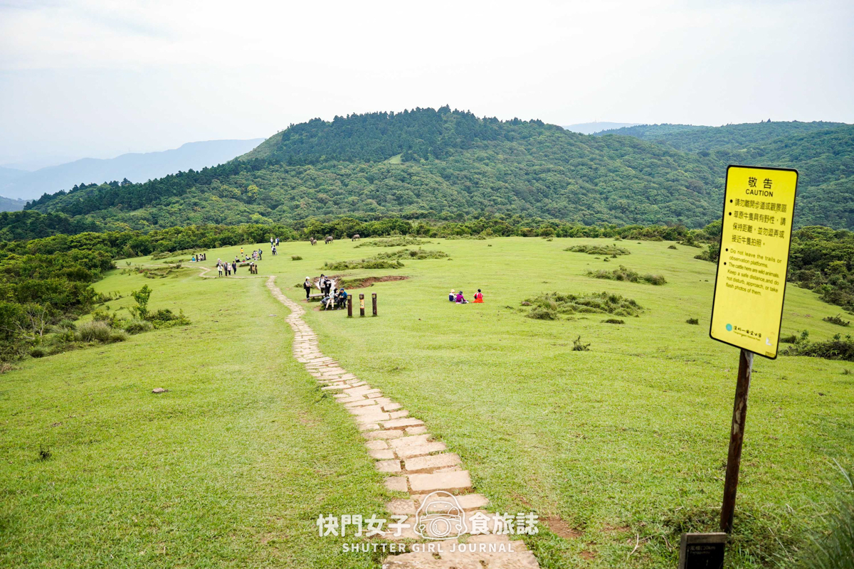 【台北大縱走第三段】台北最高峰七星山 x 橫跨擎天崗大草原 x 地形多變風景優美 - 第49張圖 【台北大縱走第三段】台北最高峰七星山 x 橫跨擎天崗大草原 x 地形多變風景優美