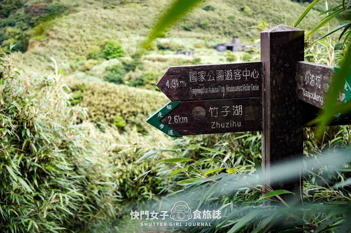 【台北大縱走第二段】挑戰拉繩攀爬大屯山連峰步道 x 欣賞竹子湖繡球花海