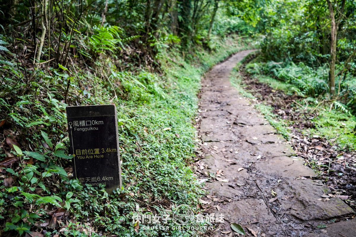 【台北大縱走第三段】台北最高峰七星山 x 橫跨擎天崗大草原 x 地形多變風景優美 - 第51張圖 【台北大縱走第三段】台北最高峰七星山 x 橫跨擎天崗大草原 x 地形多變風景優美