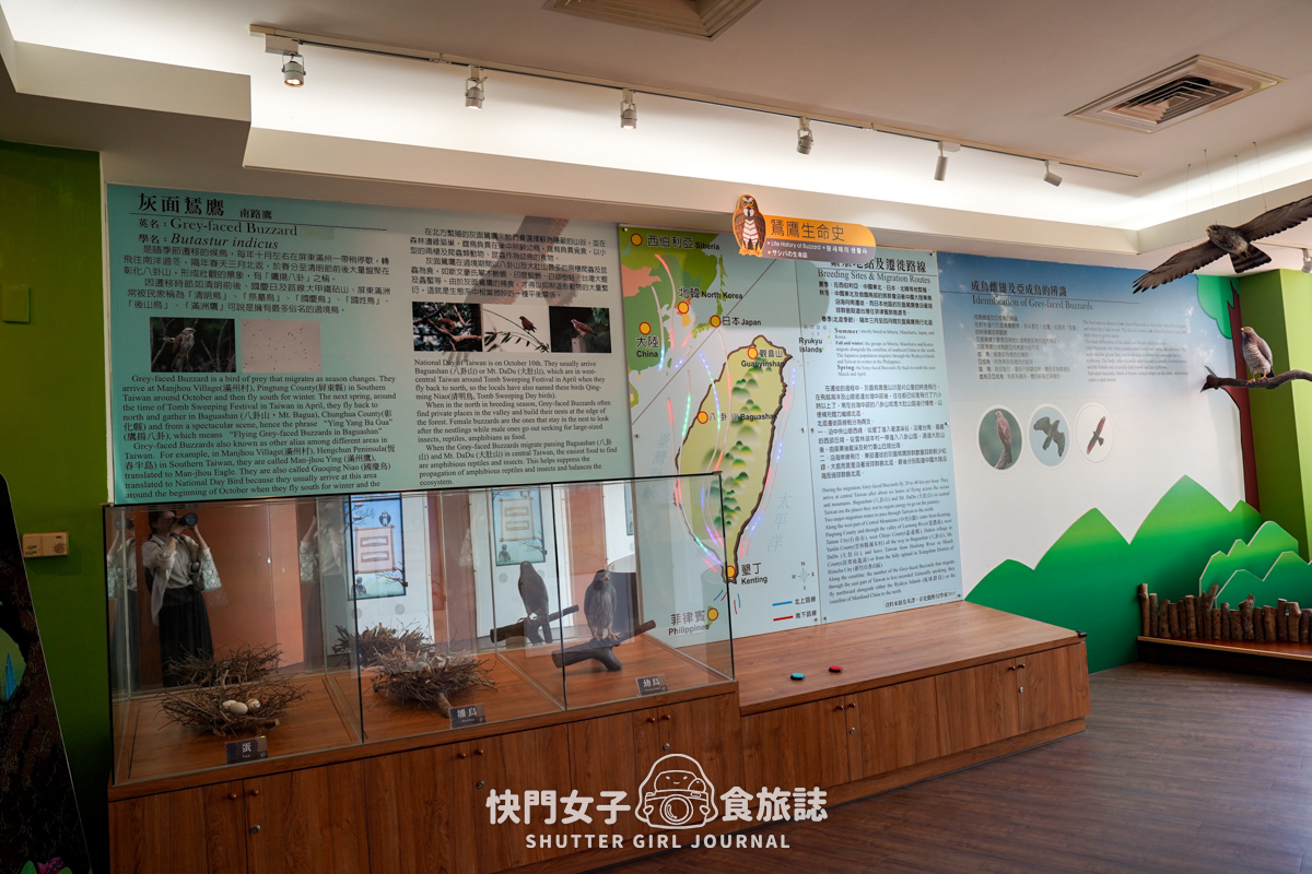 【彰化 彰化市】八卦山大佛風景區 x 22公尺巨大釋迦牟尼佛 x 灰面鵟鷹主題館 - 第52張圖 【彰化 彰化市】八卦山大佛風景區 x 22公尺巨大釋迦牟尼佛 x 灰面鵟鷹主題館