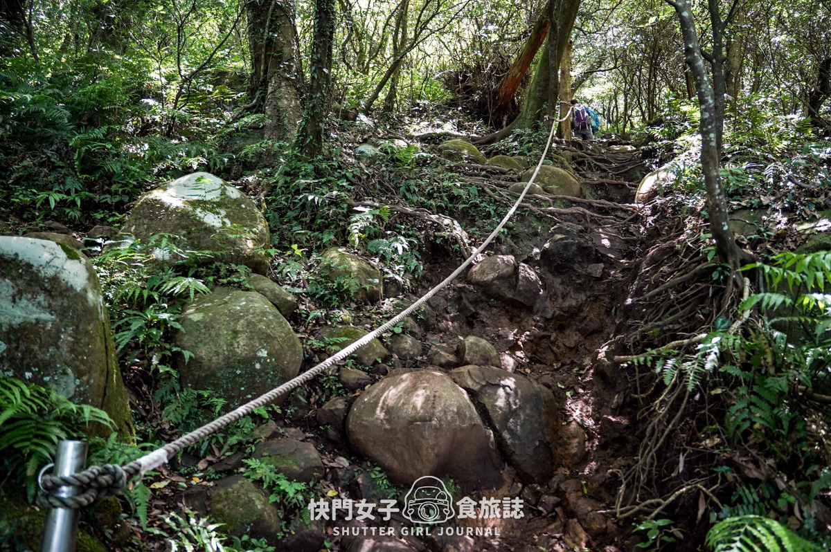 【台北大縱走第二段】挑戰拉繩攀爬大屯山連峰步道 x 欣賞竹子湖繡球花海