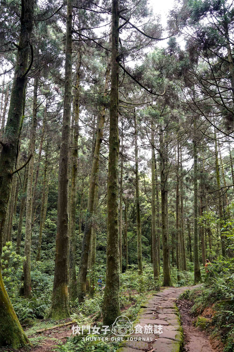 【台北大縱走第三段】台北最高峰七星山 x 橫跨擎天崗大草原 x 地形多變風景優美 - 第52張圖 【台北大縱走第三段】台北最高峰七星山 x 橫跨擎天崗大草原 x 地形多變風景優美