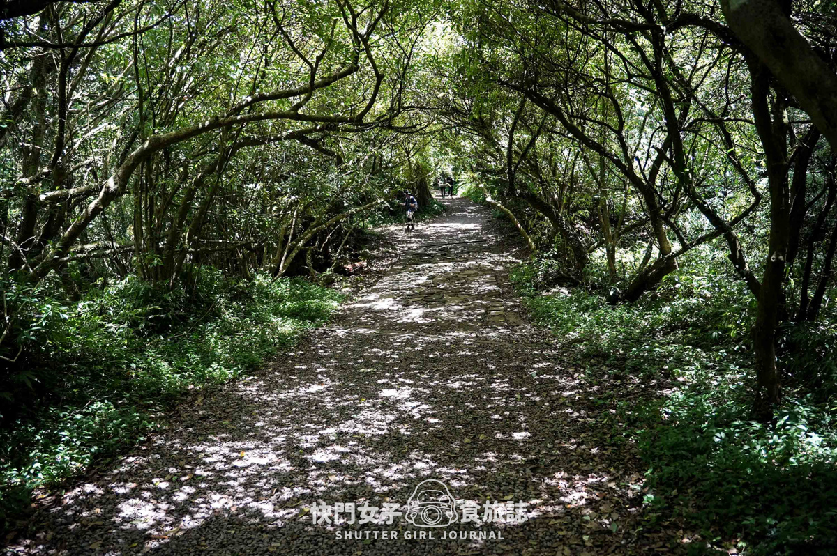 【台北大縱走第二段】挑戰拉繩攀爬大屯山連峰步道 x 欣賞竹子湖繡球花海