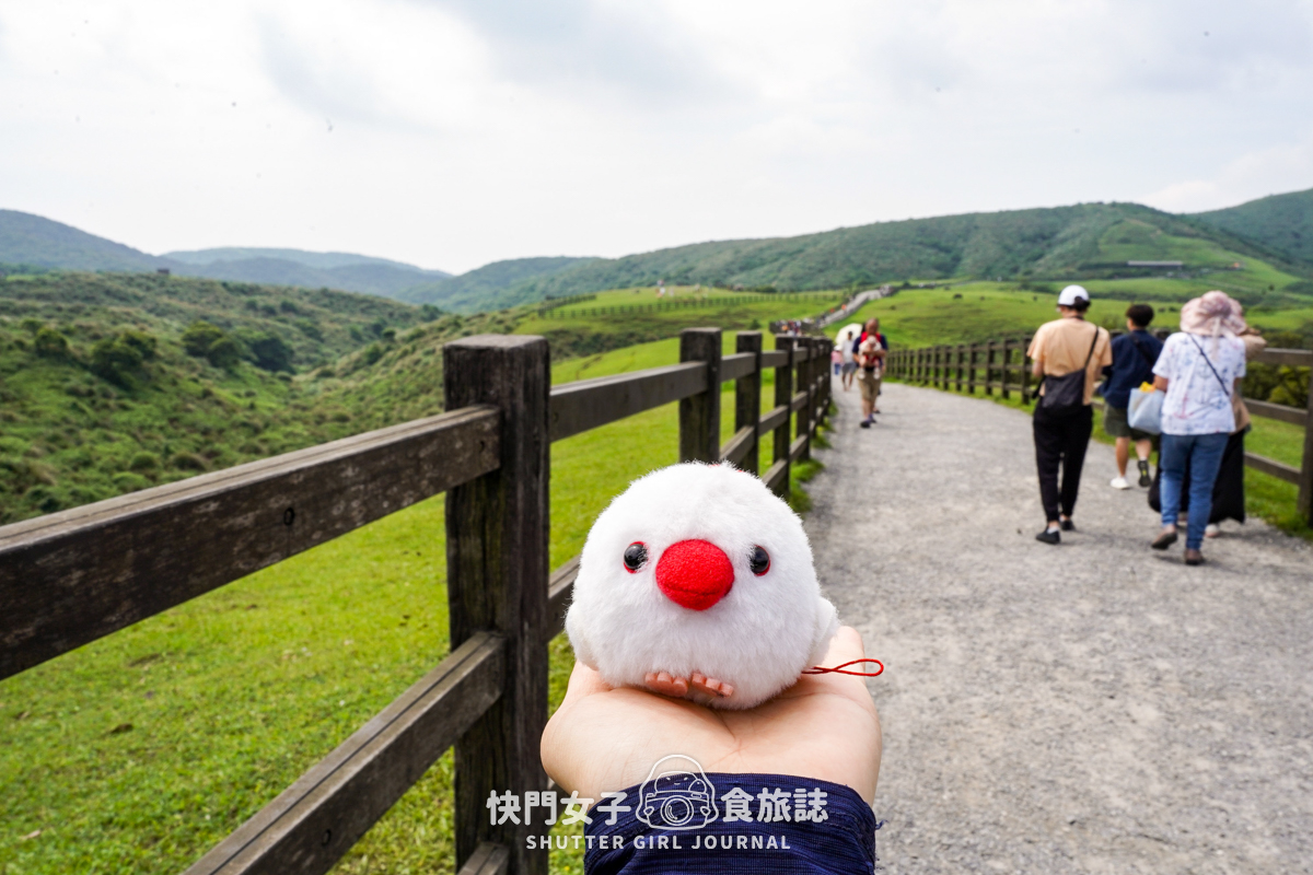 【台北大縱走第三段】台北最高峰七星山 x 橫跨擎天崗大草原 x 地形多變風景優美 - 第59張圖 【台北大縱走第三段】台北最高峰七星山 x 橫跨擎天崗大草原 x 地形多變風景優美