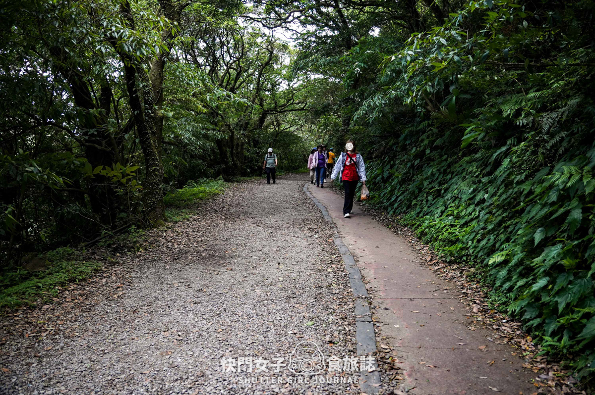 【台北大縱走第二段】挑戰拉繩攀爬大屯山連峰步道 x 欣賞竹子湖繡球花海