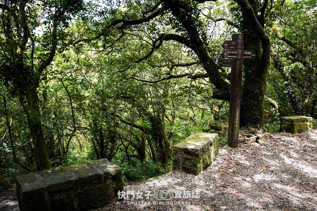 【台北大縱走第二段】挑戰拉繩攀爬大屯山連峰步道 x 欣賞竹子湖繡球花海