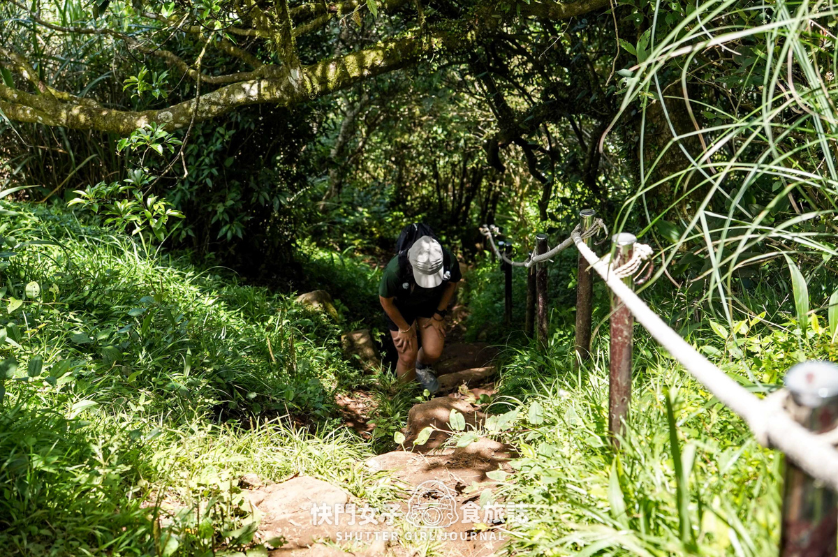 【台北大縱走第二段】挑戰拉繩攀爬大屯山連峰步道 x 欣賞竹子湖繡球花海