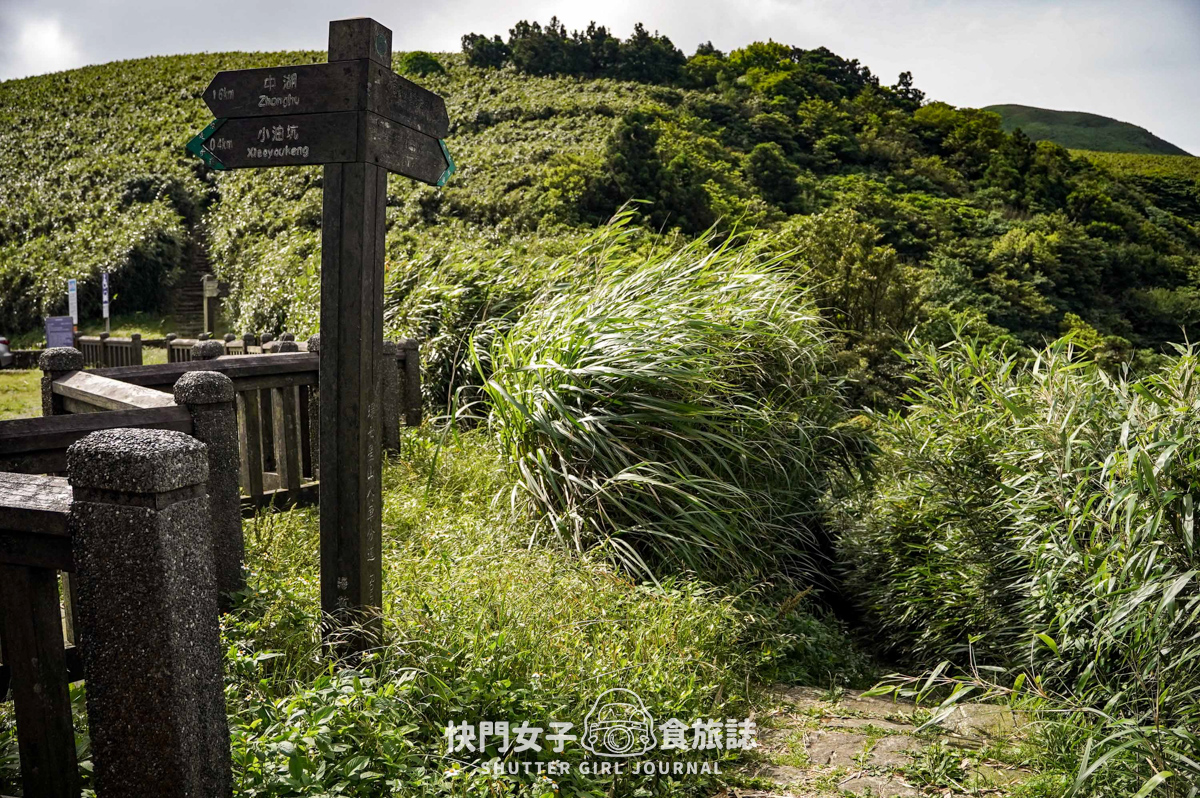 【台北大縱走第二段】挑戰拉繩攀爬大屯山連峰步道 x 欣賞竹子湖繡球花海