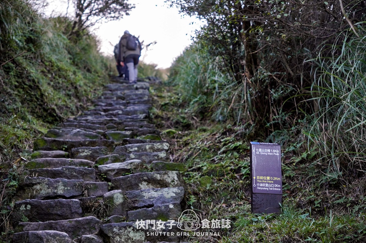 【台北大縱走第三段】台北最高峰七星山 x 橫跨擎天崗大草原 x 地形多變風景優美 - 第7張圖 【台北大縱走第三段】台北最高峰七星山 x 橫跨擎天崗大草原 x 地形多變風景優美