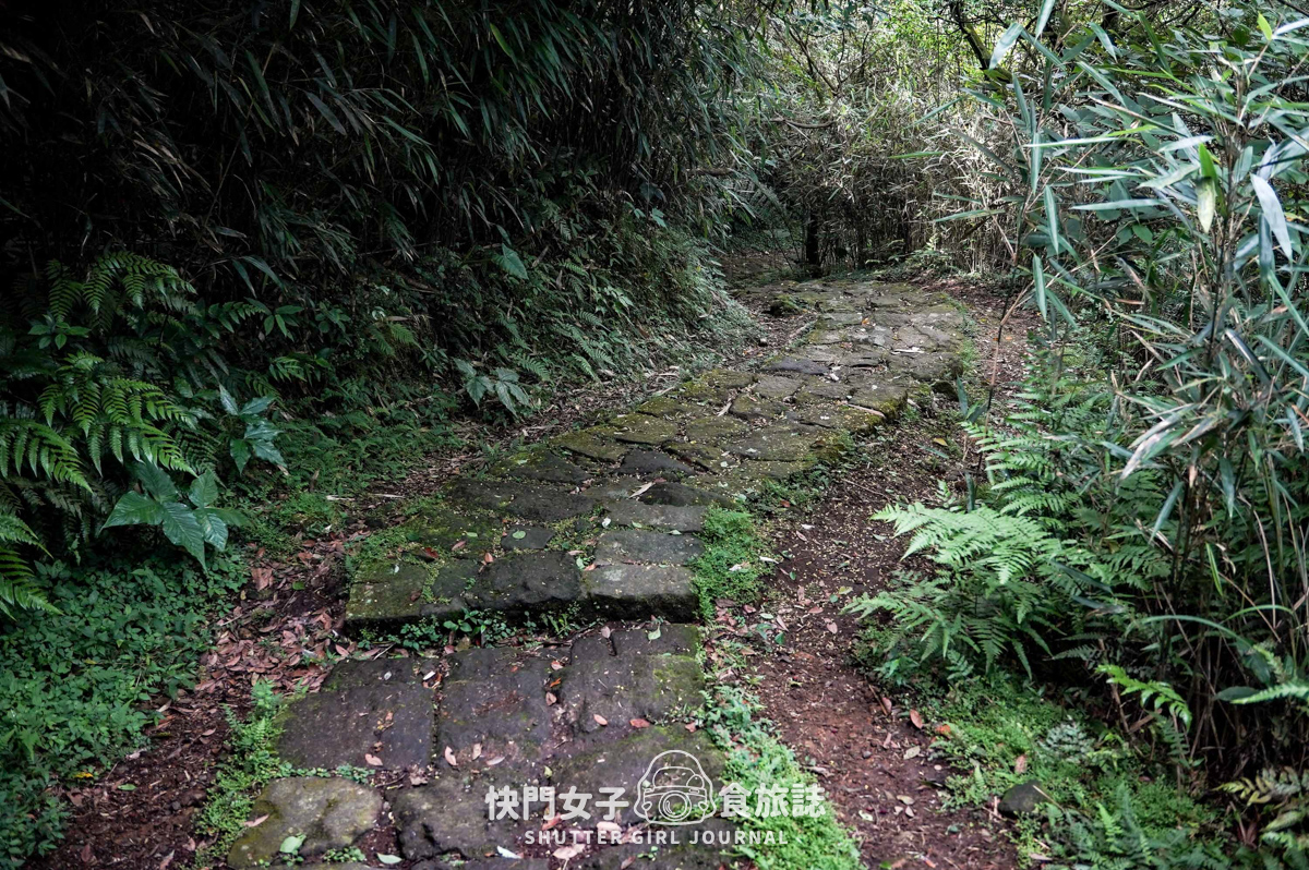 【台北大縱走第二段】挑戰拉繩攀爬大屯山連峰步道 x 欣賞竹子湖繡球花海