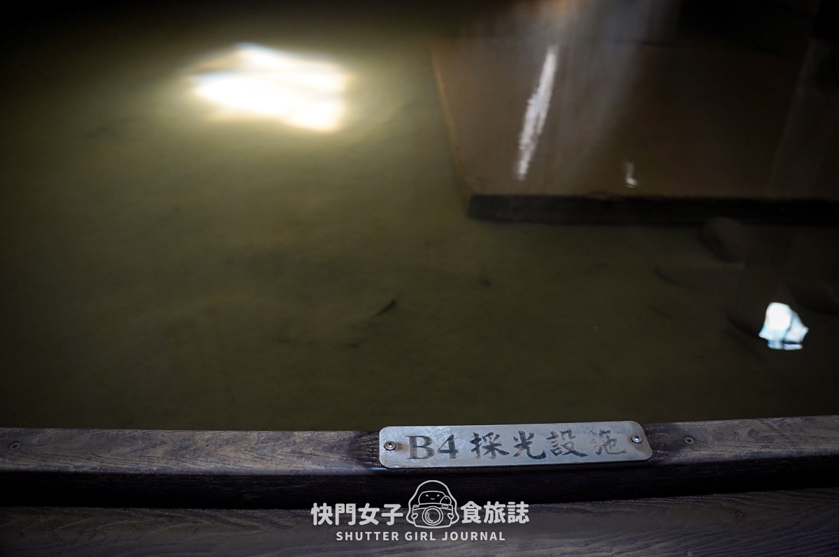 【桃園 桃園區】桃園大樹林滯洪池 x 一窺平常看不到的神秘地下宮殿 - 第26張圖 【桃園 桃園區】桃園大樹林滯洪池 x 一窺平常看不到的神秘地下宮殿