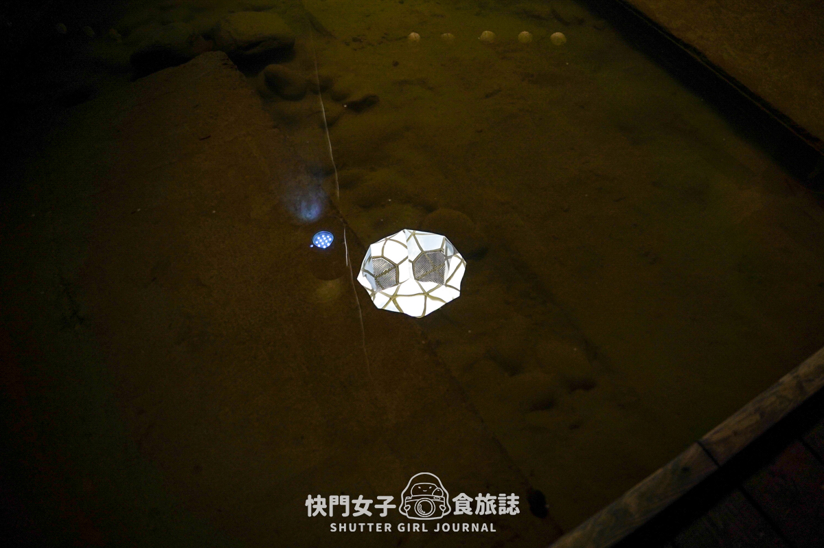 【桃園 桃園區】桃園大樹林滯洪池 x 一窺平常看不到的神秘地下宮殿 - 第29張圖 【桃園 桃園區】桃園大樹林滯洪池 x 一窺平常看不到的神秘地下宮殿