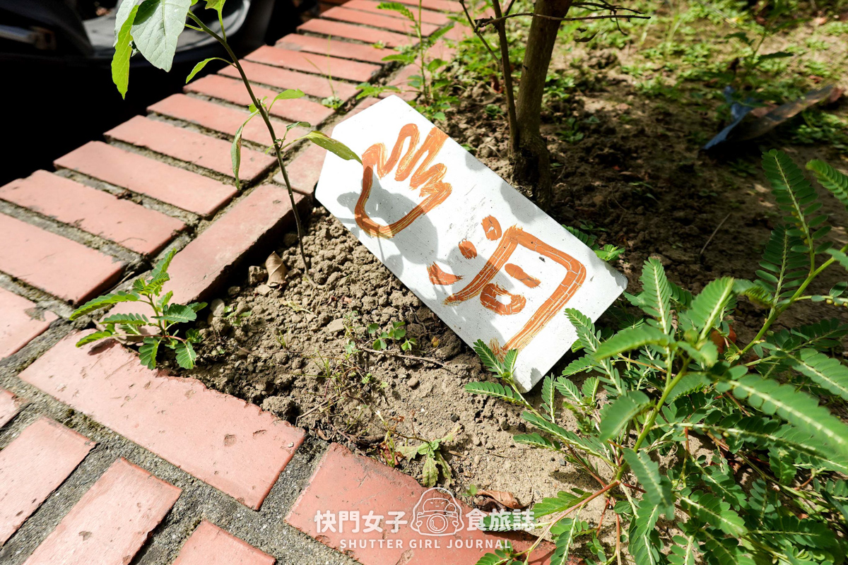 【基隆 中山區】基隆八景仙洞巖 x 天然海蝕洞穴 x 探訪佛手洞巨佛之手 - 第41張圖 【基隆 中山區】基隆八景仙洞巖 x 天然海蝕洞穴 x 探訪佛手洞巨佛之手